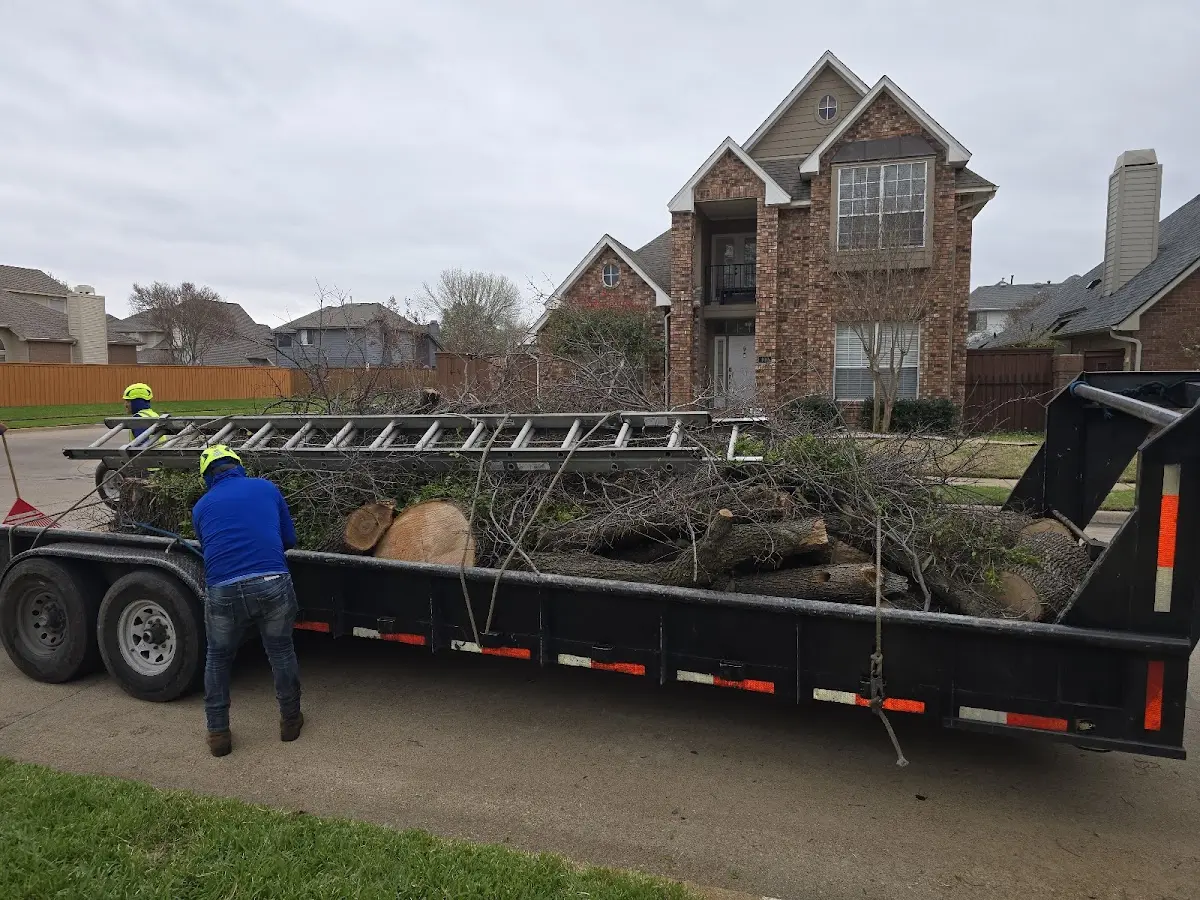 Expert Tree Fertilization with proper safety equipment in Lutz